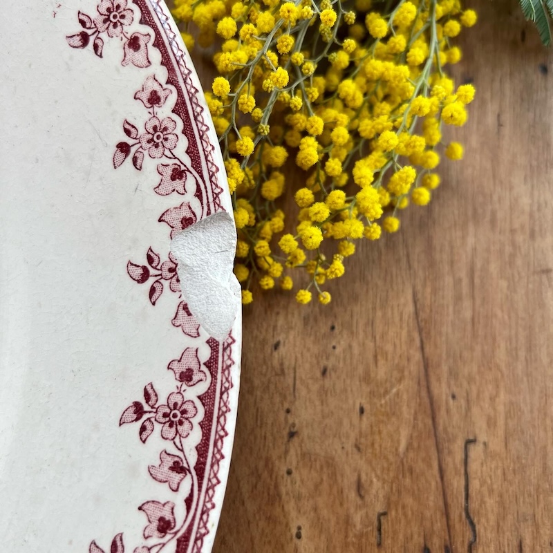 grand-plat-service-ancien-terre-de-fer-rose-gagny-hbcie-brocnpeps
