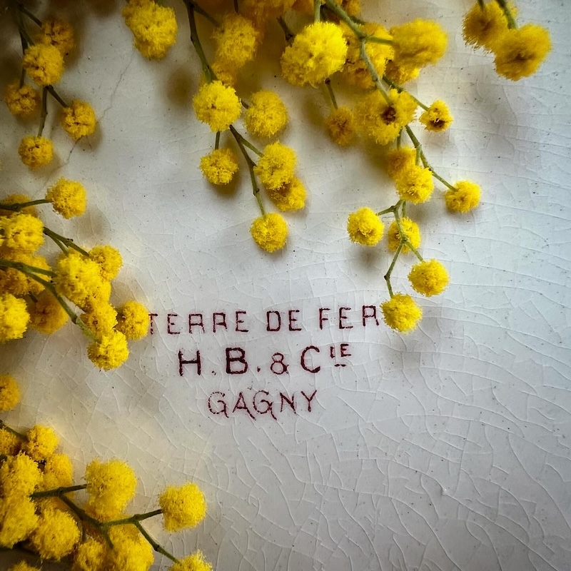 grand-plat-service-ancien-terre-de-fer-rose-gagny-hbcie-brocnpeps