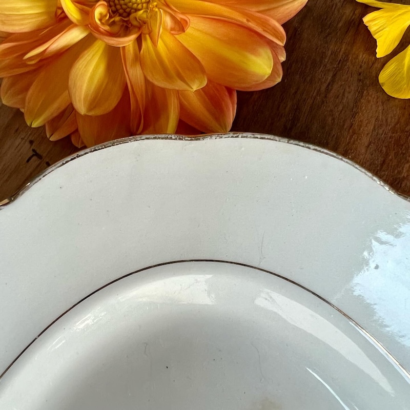 plat_oval_gien_gardanne_rose_vintage_ancien_brocnpeps