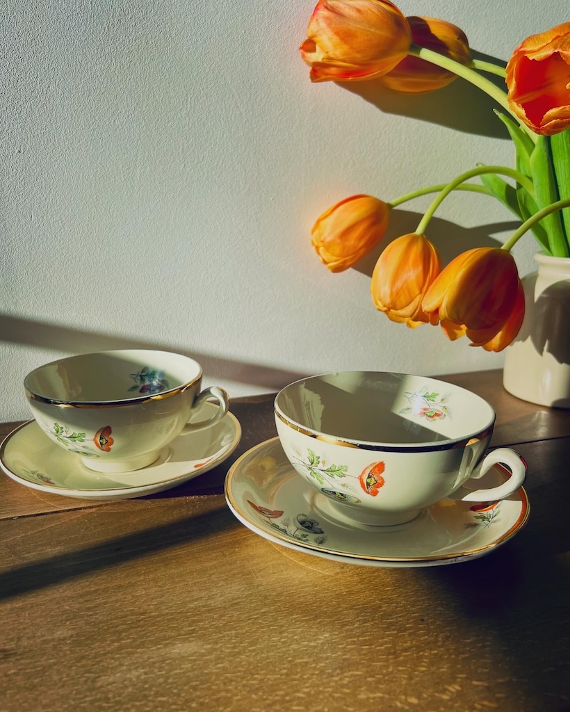 tasse-soucoupe-anemone-ceranord-st-amand-vaisselle-ancienne-brocnpeps