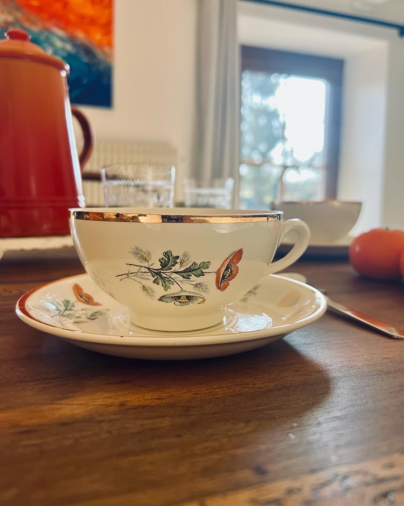 tasse-soucoupe-anemone-ceranord-st-amand-vaisselle-ancienne-brocnpeps