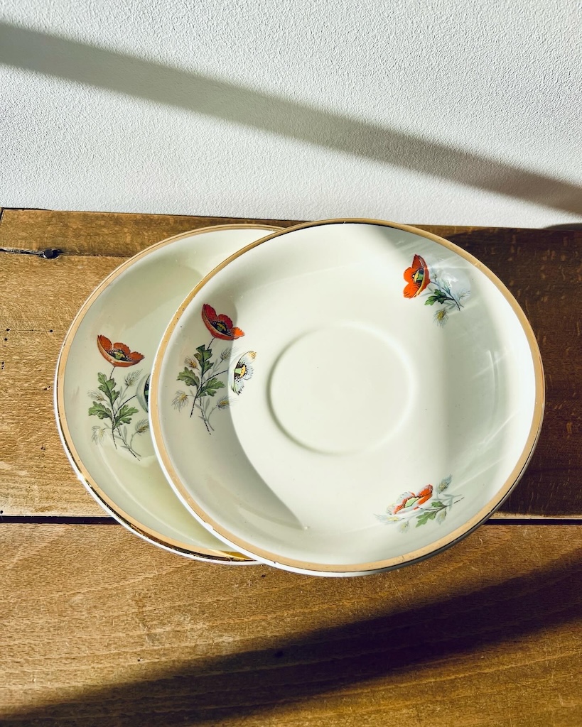 tasse-soucoupe-anemone-ceranord-st-amand-vaisselle-ancienne-brocnpeps