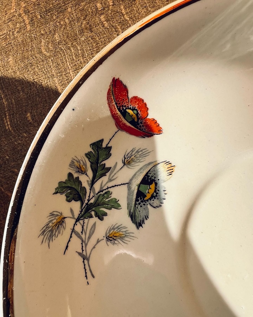 tasse-soucoupe-anemone-ceranord-st-amand-vaisselle-ancienne-brocnpeps