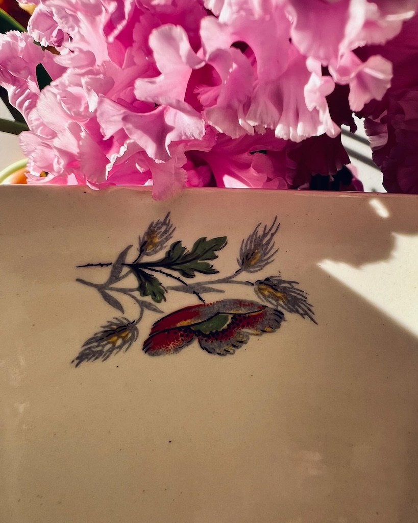 tasse-soucoupe-anemone-ceranord-st-amand-vaisselle-ancienne-brocnpeps