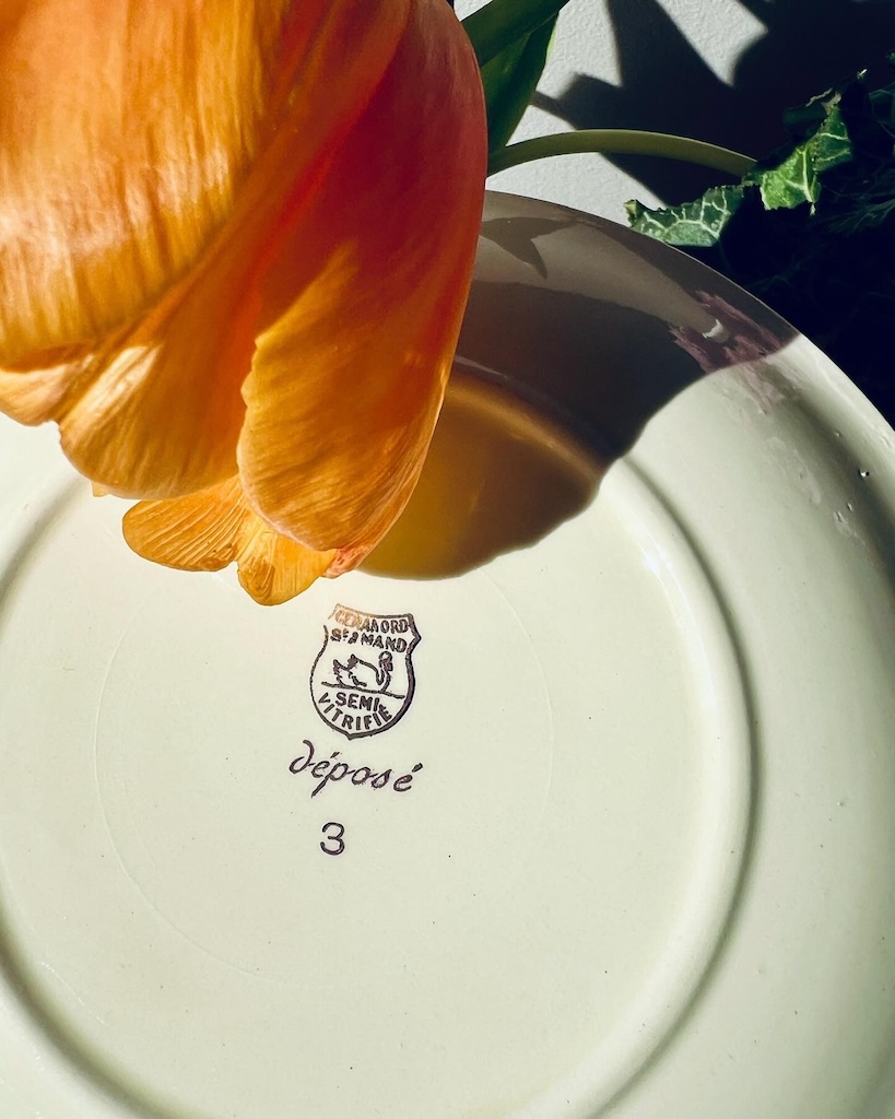 tasse-soucoupe-anemone-ceranord-st-amand-vaisselle-ancienne-brocnpeps