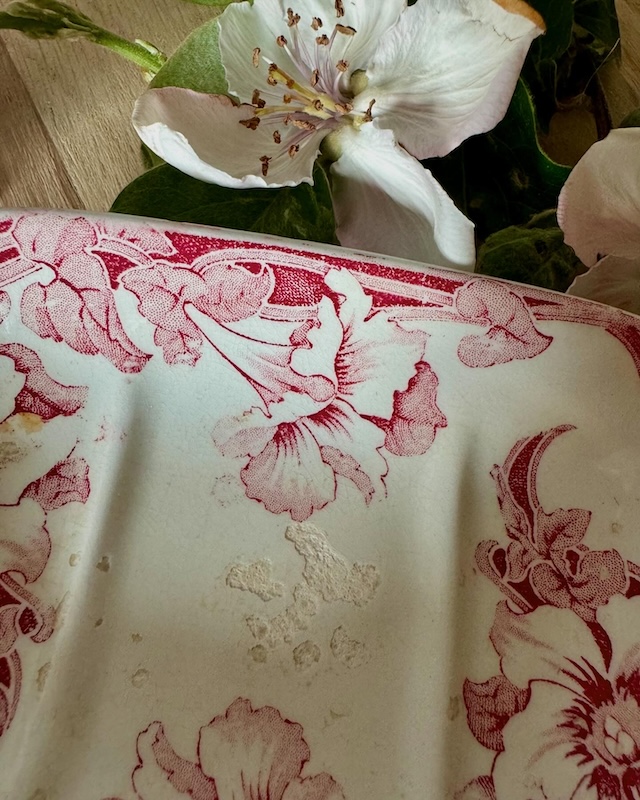 porte_savon_fleurs_roses_terre_de_fer_vintage_deco_ancienne_brocnpeps